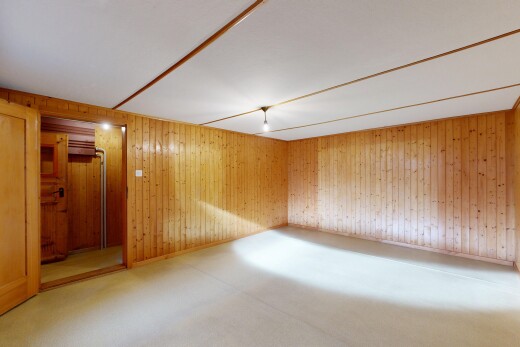 leerer raum mit wood wall, holzwand, inside property, keller, und carpet