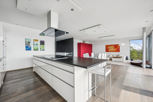 küche mit dunstabzugshaube, kitchen bar, küchenbar, flat panel cabinets, und schränke mit flachen paneelen