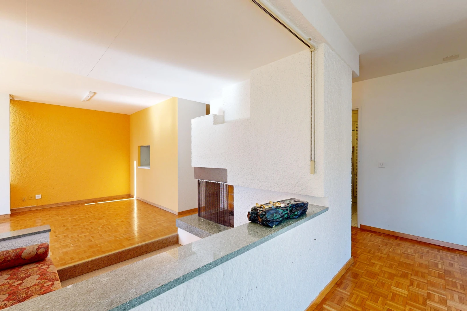 salon avec parquet floor, wood finish floor, sol en finition bois, baseboards wall, et plinthes murales
