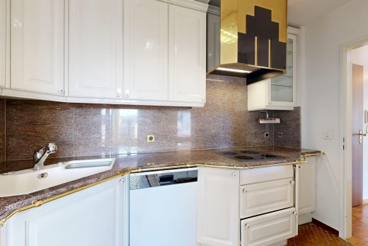 cuisine avec raised cabinets, armoires élevées, dark countertops, lave-vaisselle, et évier