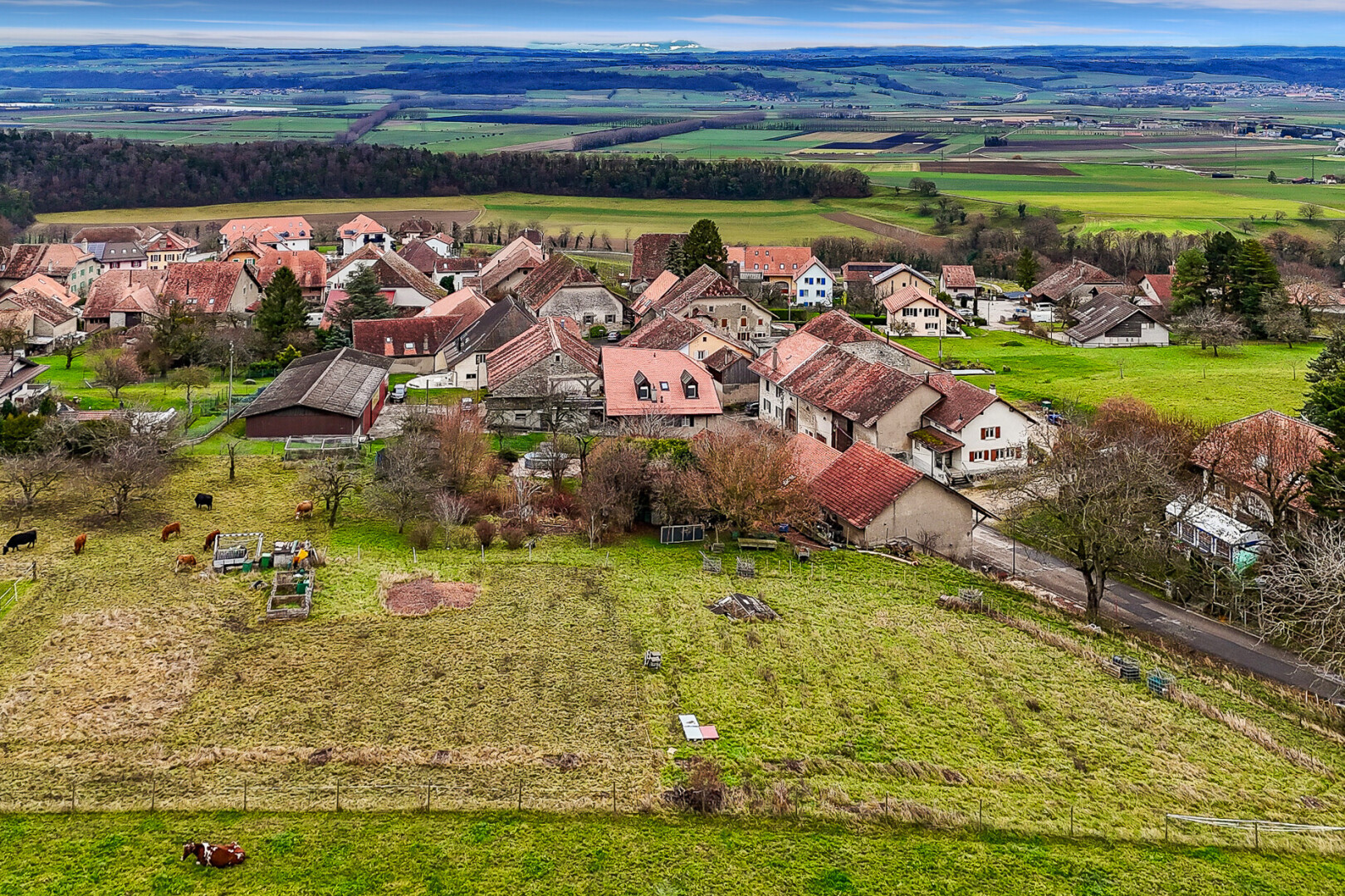 façade avec animal, residential view, vue résidentielle, terrain vierge, et day time