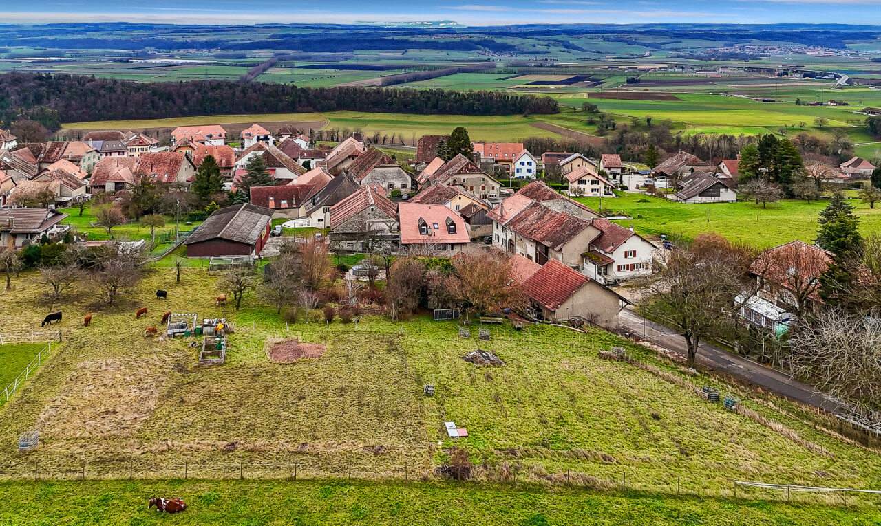 façade avec animal, residential view, vue résidentielle, terrain vierge, et day time