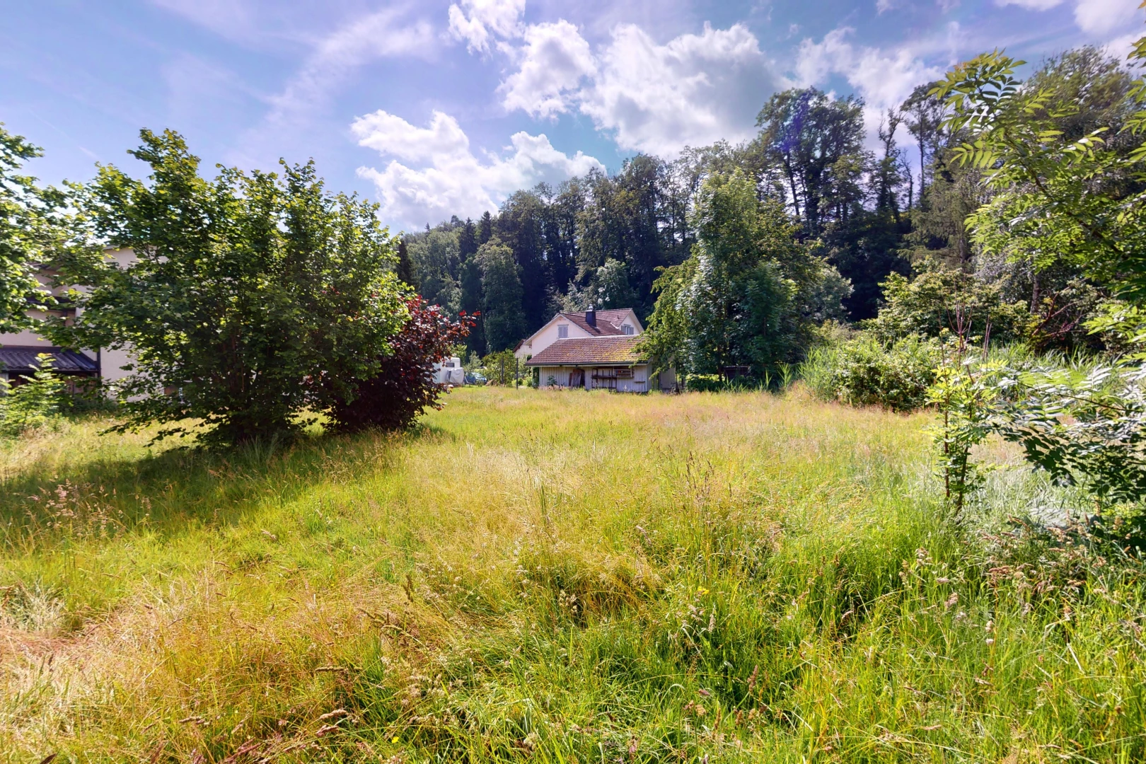jardin avec vue sur la forêt