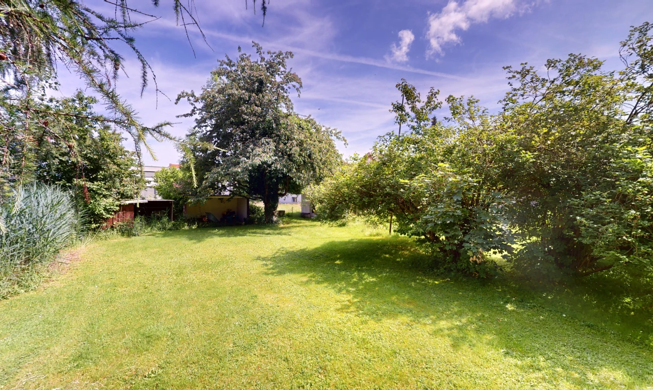 jardin avec pelouse