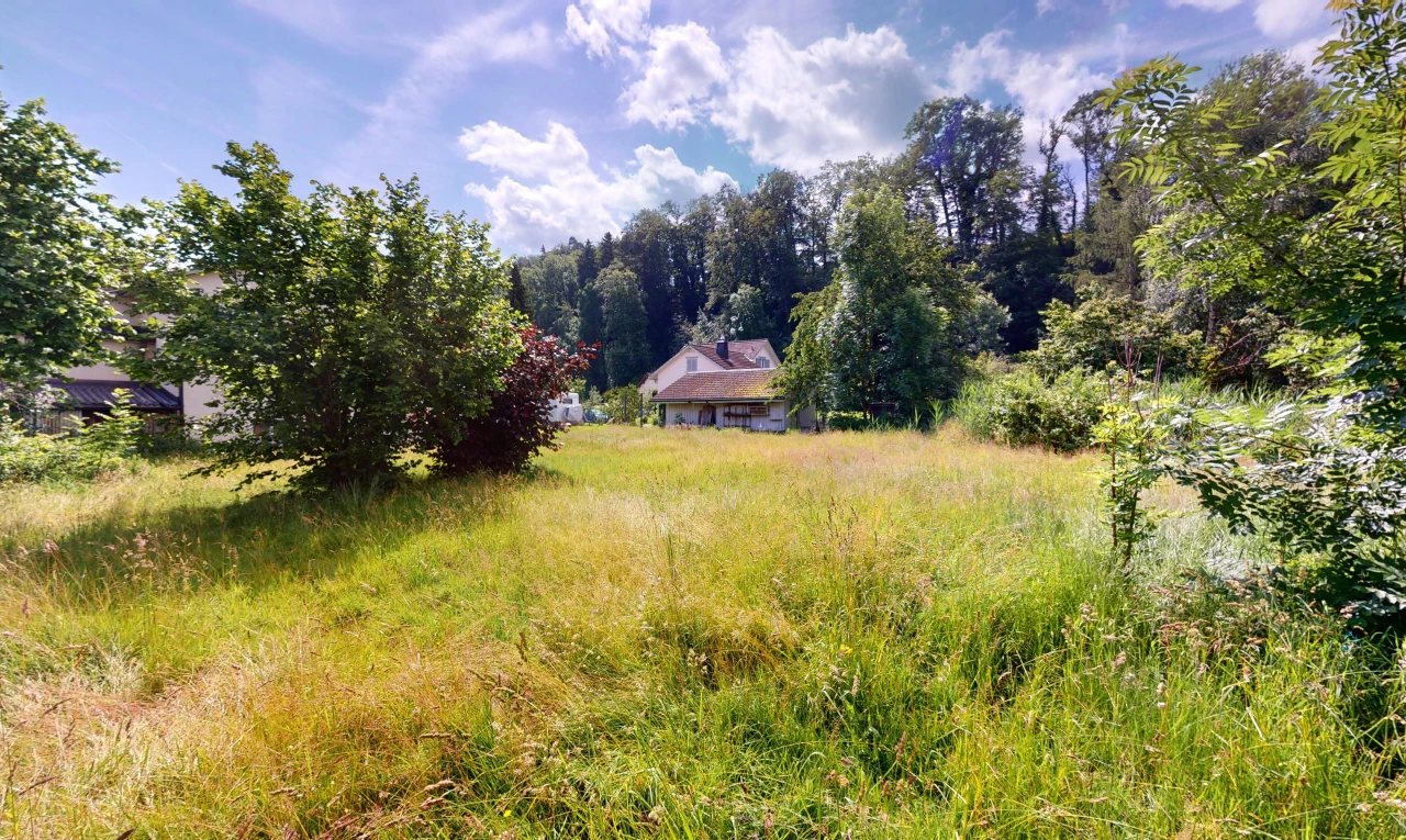 jardin avec vue sur la forêt