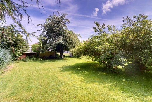 jardin avec pelouse