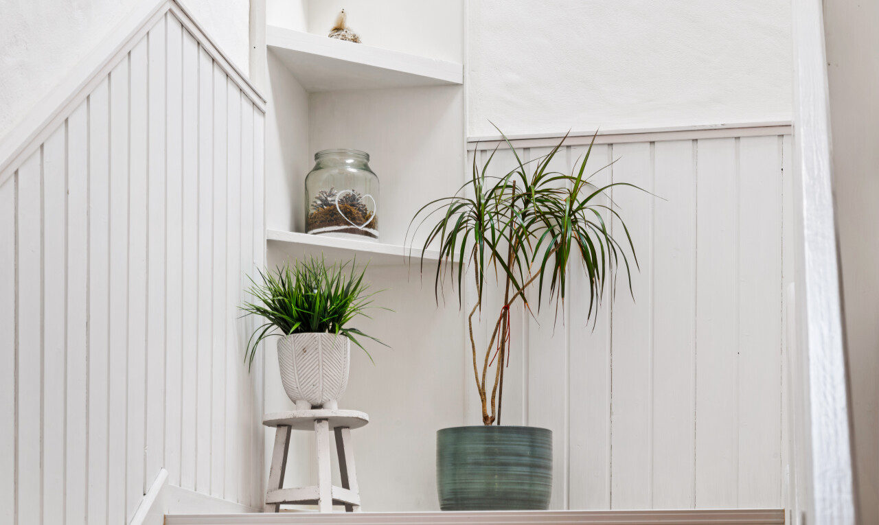 détails avec object et wall / siding