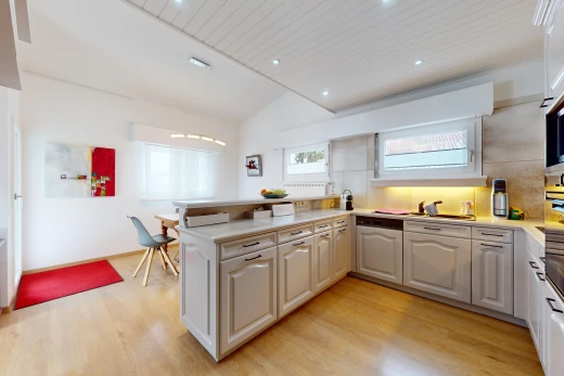 cuisine avec plan de travail, meubles à panneaux en relief, lumière naturelle, plafond voûté, et péninsule de cuisine