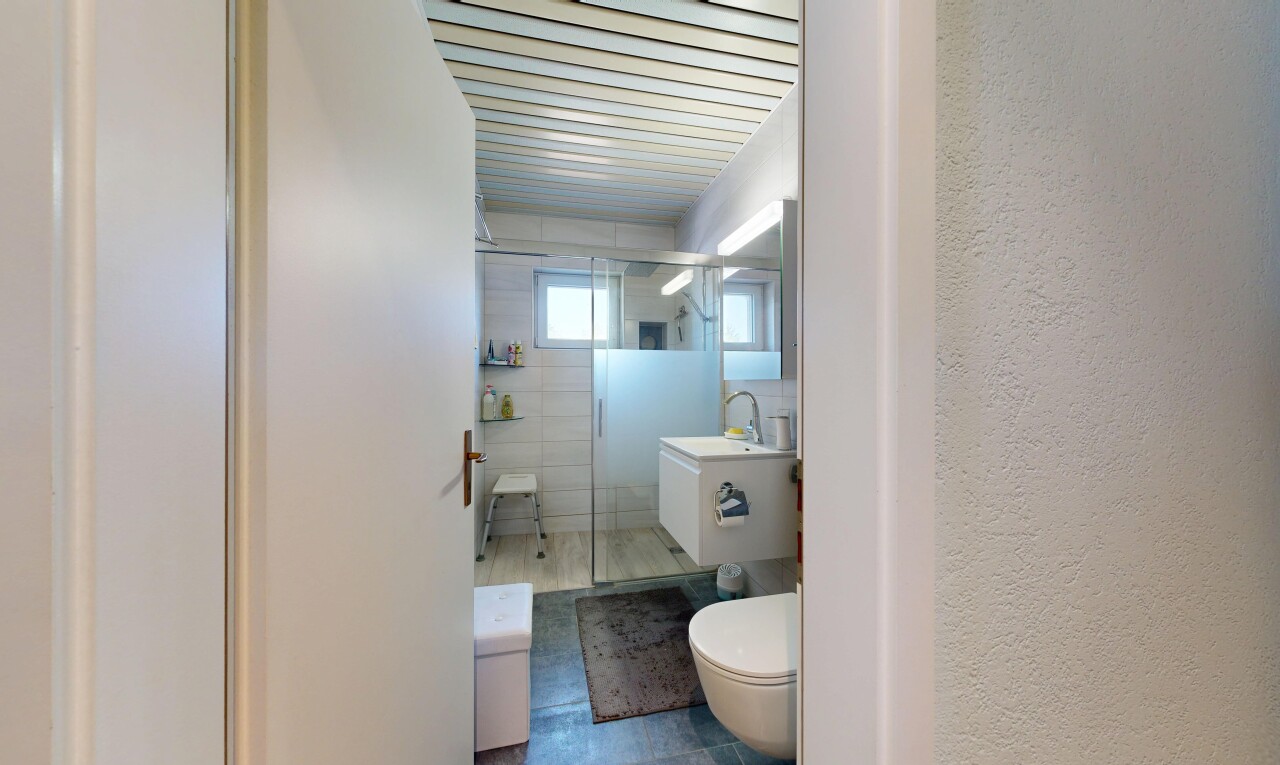 salle de bains avec douche, salle de bain complète, toilette, miroir, et lavabo (ou coiffeuse selon le contexte)