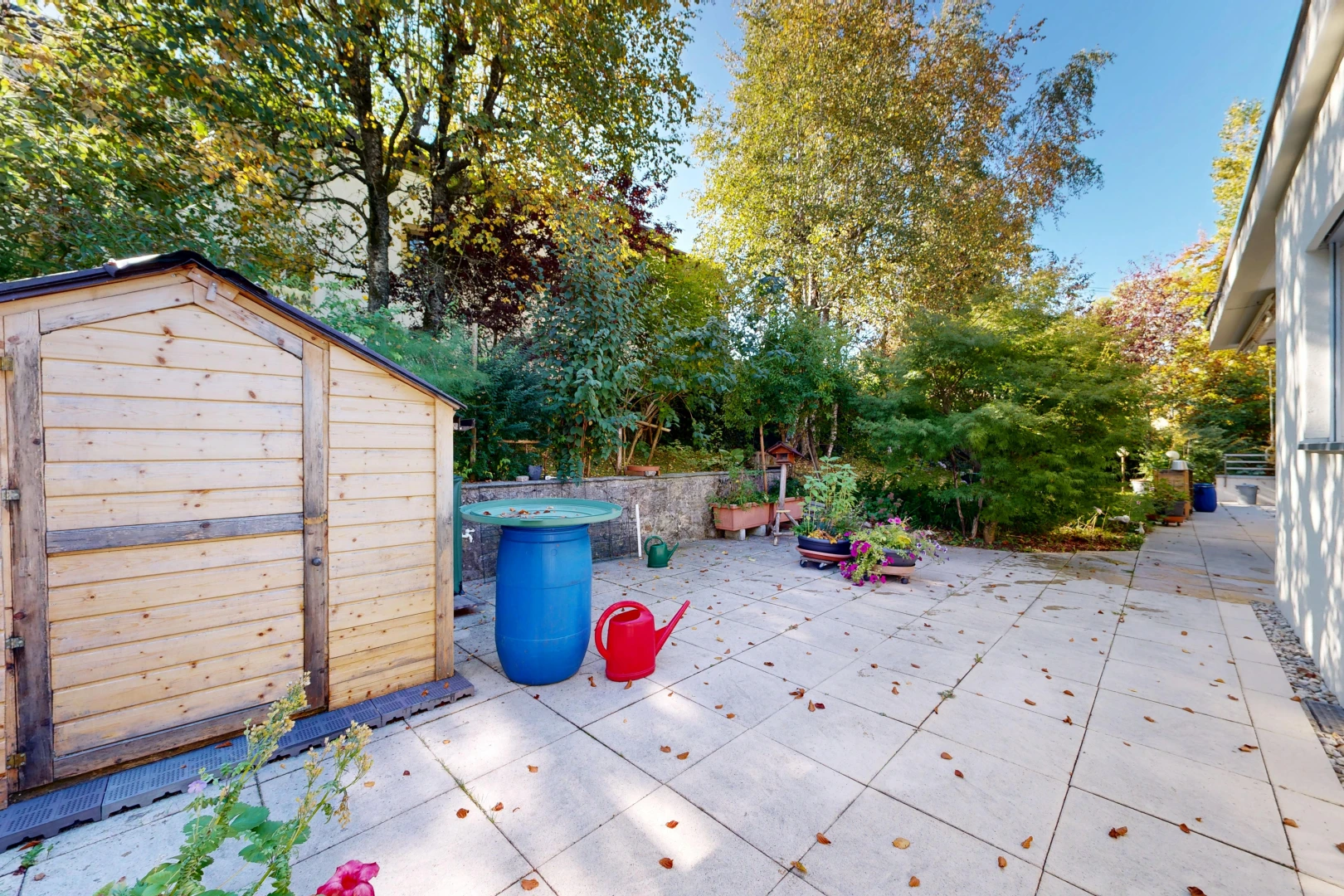 terrasse mit schuppen, außenansicht, from property, terrasse, und day time