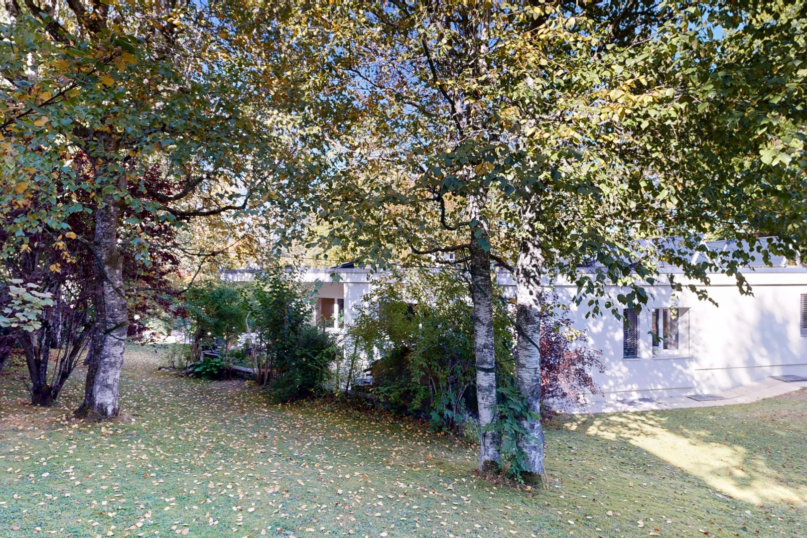 garten mit property visible und rasen