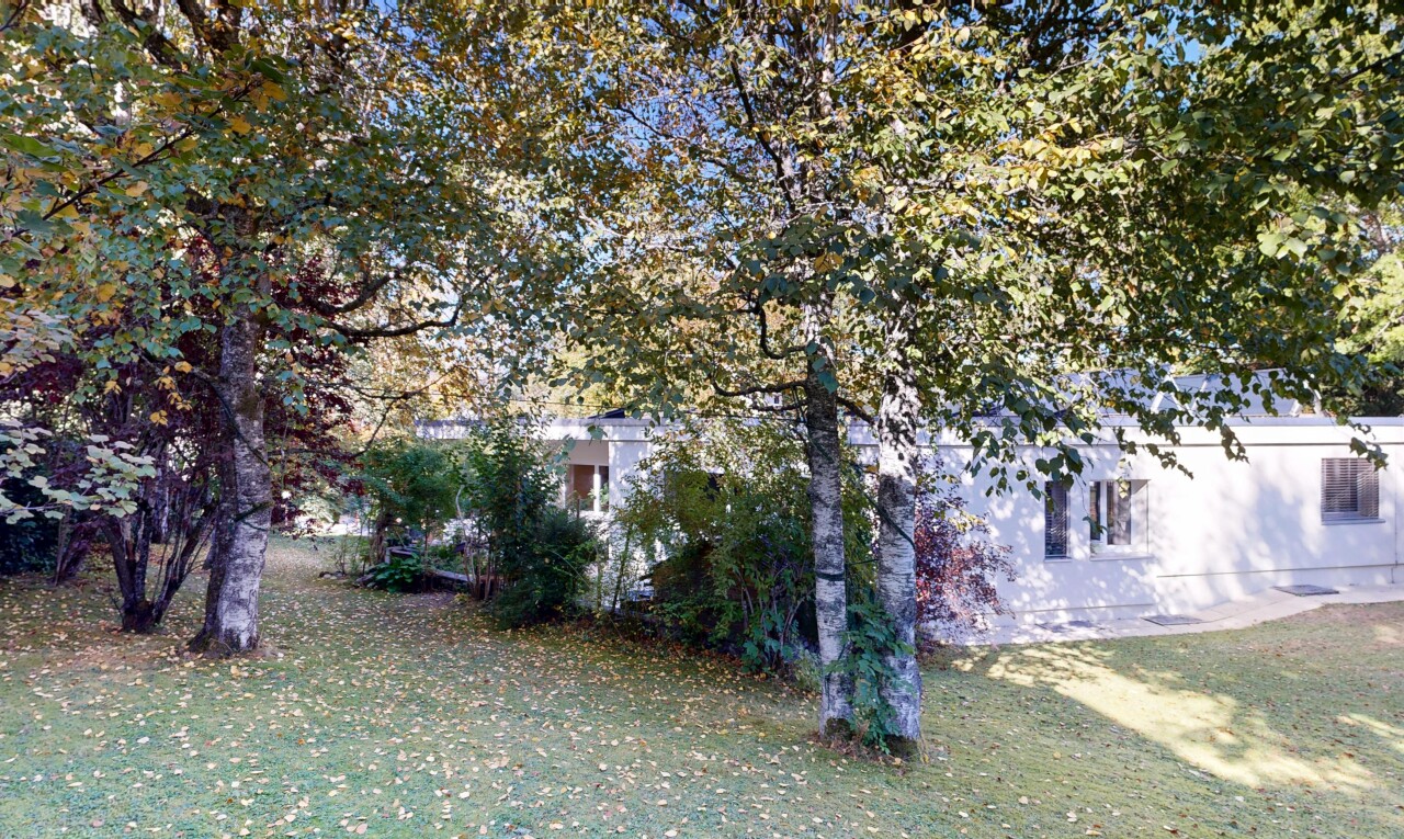 jardin avec property visible et pelouse