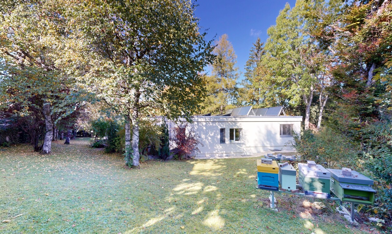 jardin avec panneaux solaires, pelouse, property visible, et day time
