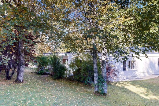 garden with a yard
