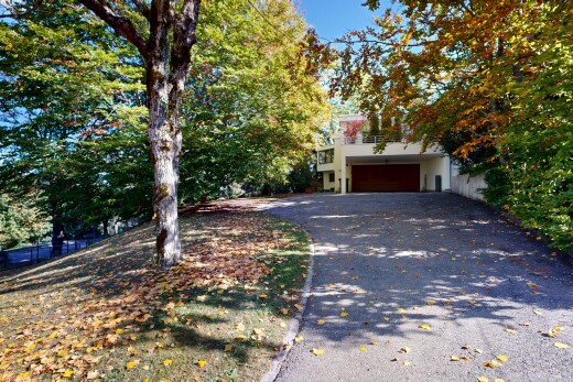 view of garden