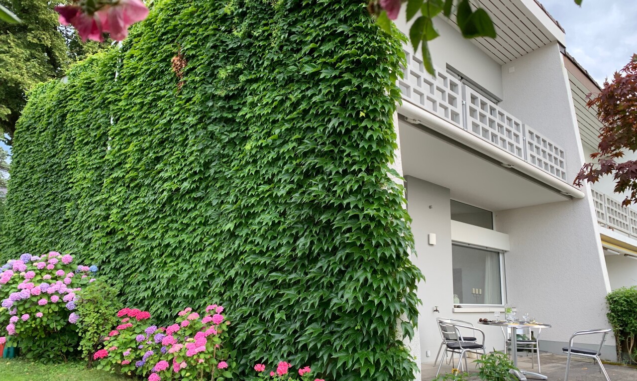 façade avec balcon, bardage en stuc, terrasse, et overcast