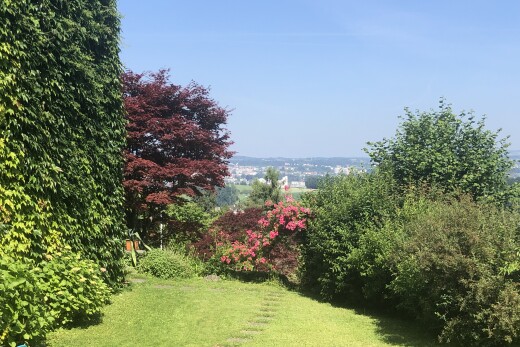 garten mit rasen und day time