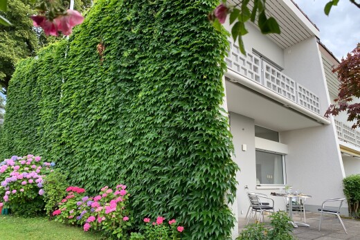 außenansicht mit balkon, stuckverkleidung, terrasse, und overcast