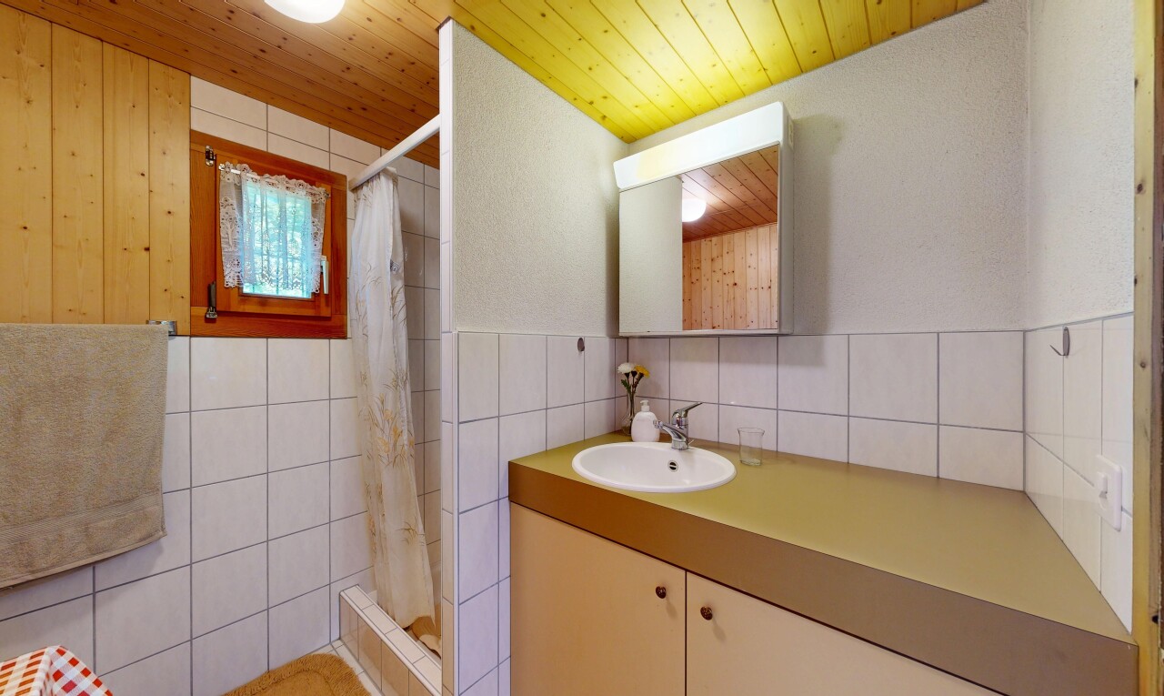 bad mit dusche, spiegel, schminktisch, komplettes badezimmer, und waschbecken
