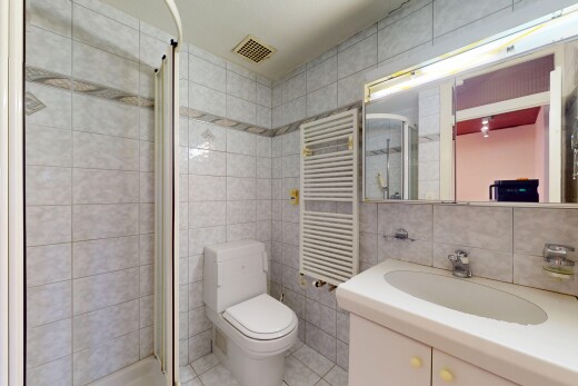 bad mit fliesenwand, tile wall, spiegel, kühler, und handtuchwärmer