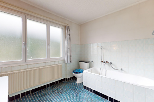 bad mit toilette, kühler, fliesenwand, natürliches licht, und bad