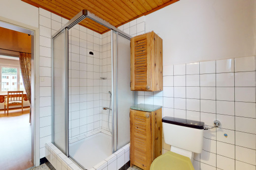 bad mit toilette, dusche, holzdecke, und natürliches licht