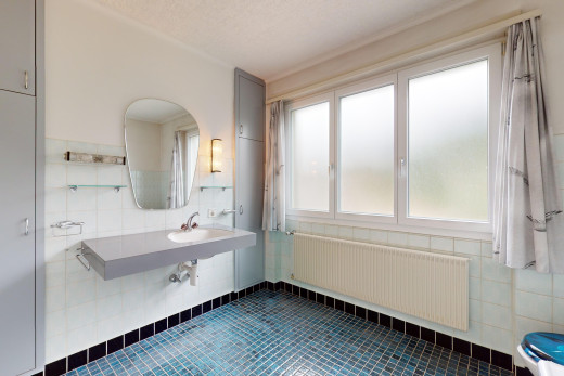 bad mit fliesenboden, kühler, spiegel, und natürliches licht