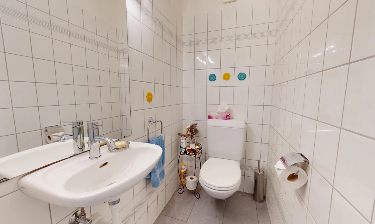 salle de bains avec toilette, évier, mur en carrelage, tile wall, et miroir