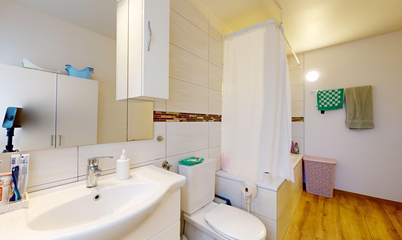 salle de bains avec salle de bain complète, lavabo (ou coiffeuse selon le contexte), miroir, toilette, et évier