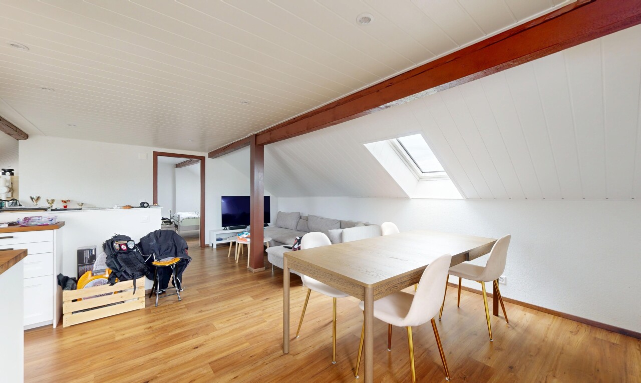 salon / salle à manger avec puits de lumière, plafond bas, low ceiling, sol en finition bois, et wood finish floor