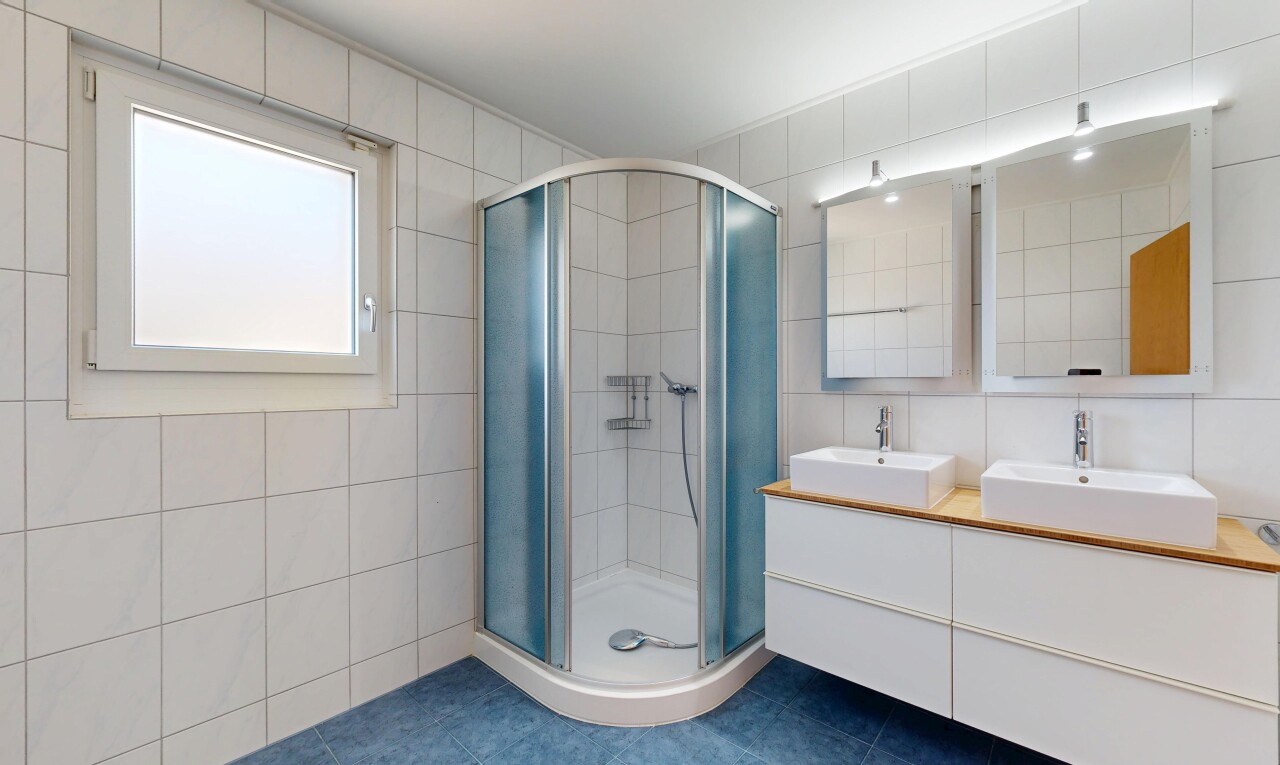 bad mit fliesenwand, tile wall, dusche, natürliches licht, und natural light