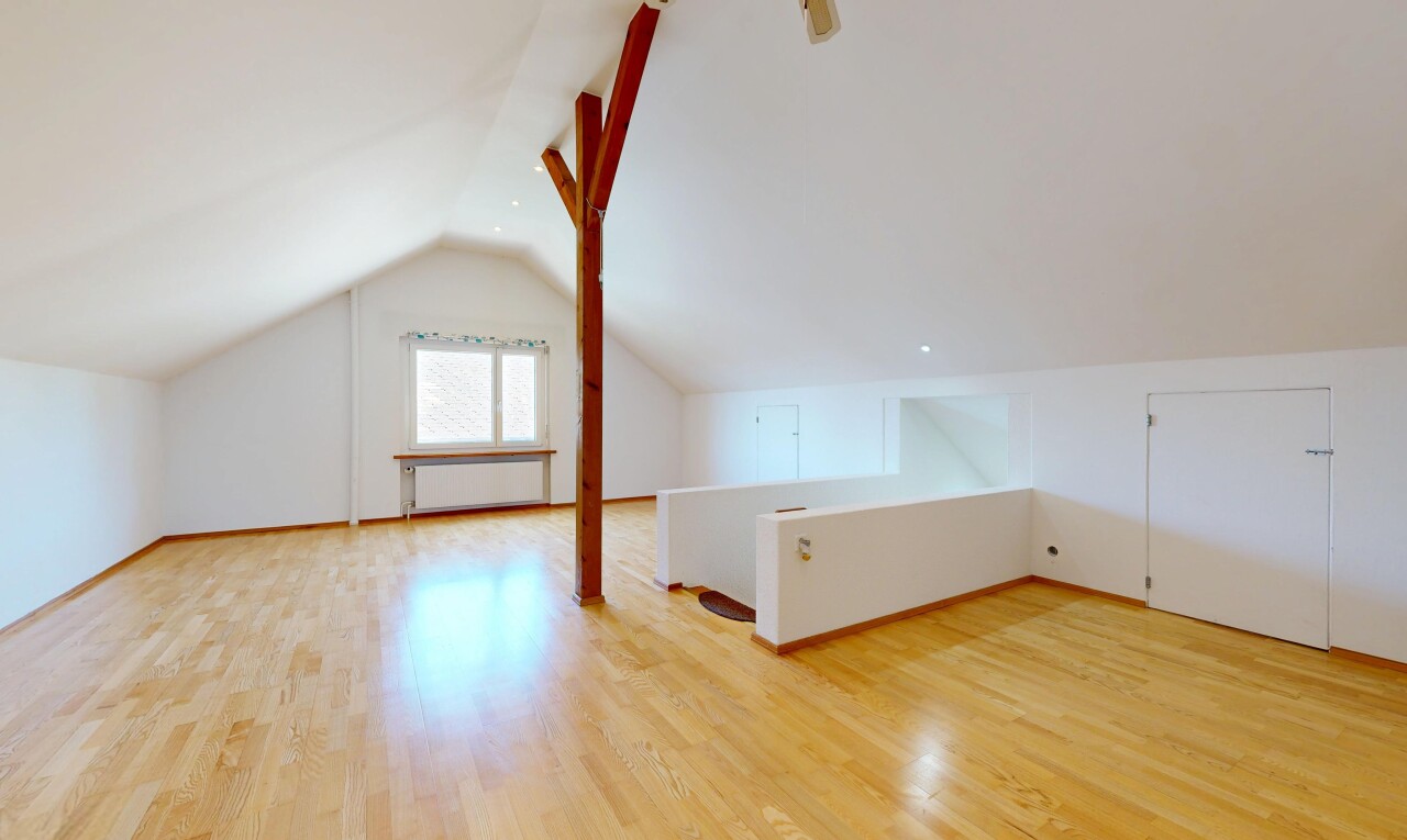 leerer raum mit natürliches licht, natural light, zusätzliches zimmer, niedrige decke, und low ceiling