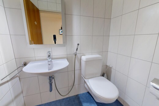 bad mit gäste-wc, toilette, spiegel, fliesenwand, und tile wall