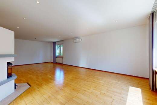 leerer raum mit holzfußboden, wood finish floor, inside property, light floor, und natürliches licht