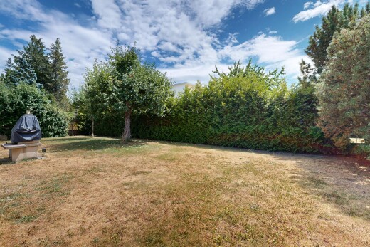 garten mit day time und rasen