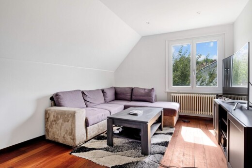 living room featuring wood finished floors, radiator, and vaulted ceiling