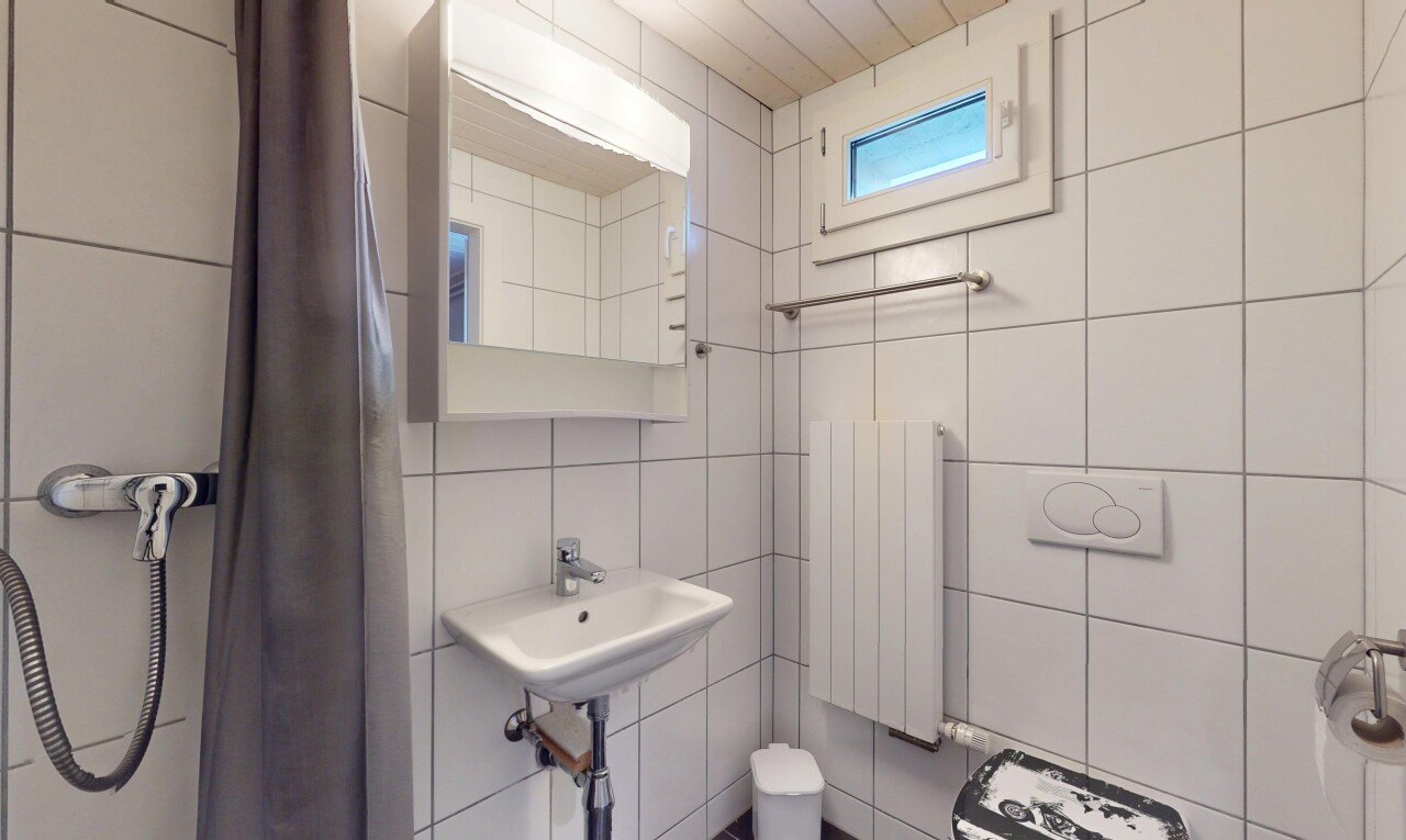 salle de bains avec mur en carrelage, tile wall, radiateur, inside property, et lumière naturelle