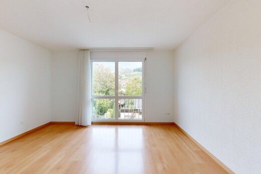 leerer raum mit sockelleisten, baseboards wall, holzfußboden, wood finish floor, und inside property