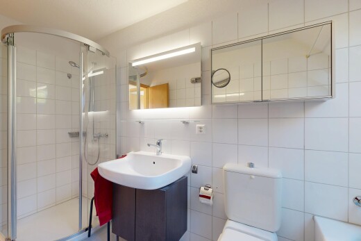 bad mit komplettes badezimmer, dusche, schminktisch, spiegel, und inside property