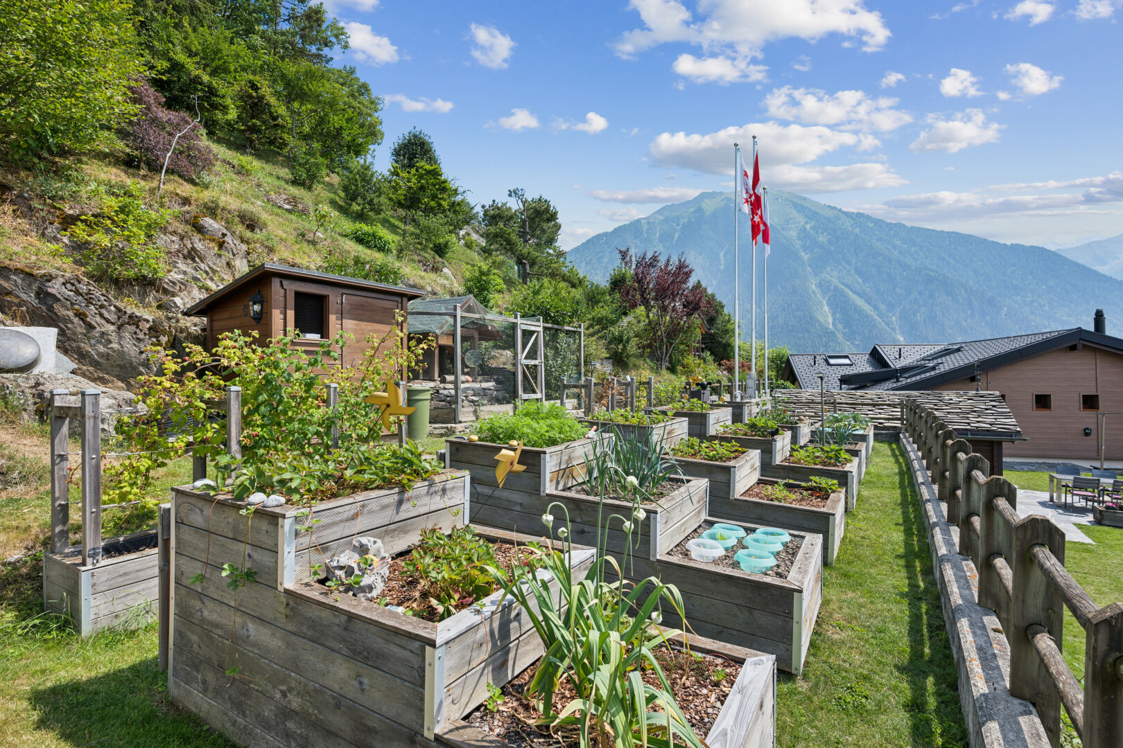 jardin avec vue sur la montagne, mountain view, day time, et jardin