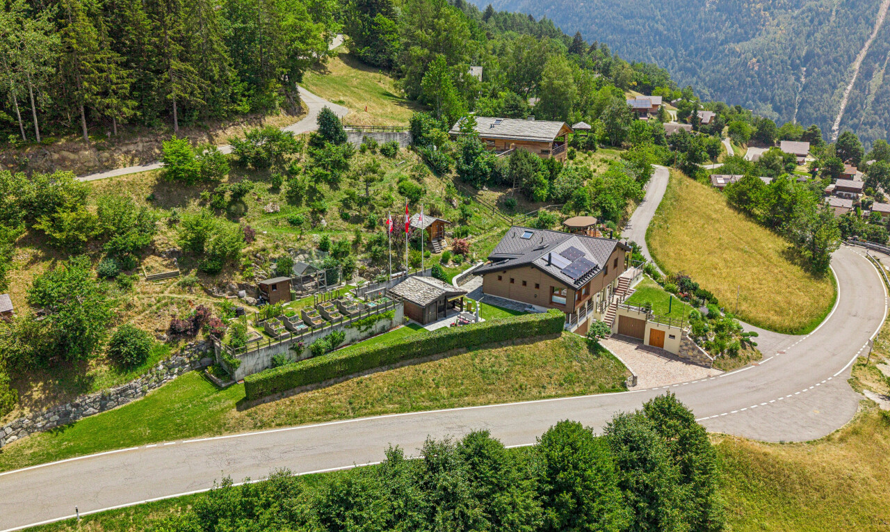 blick auf die berge mit blick auf die berge und mountain view