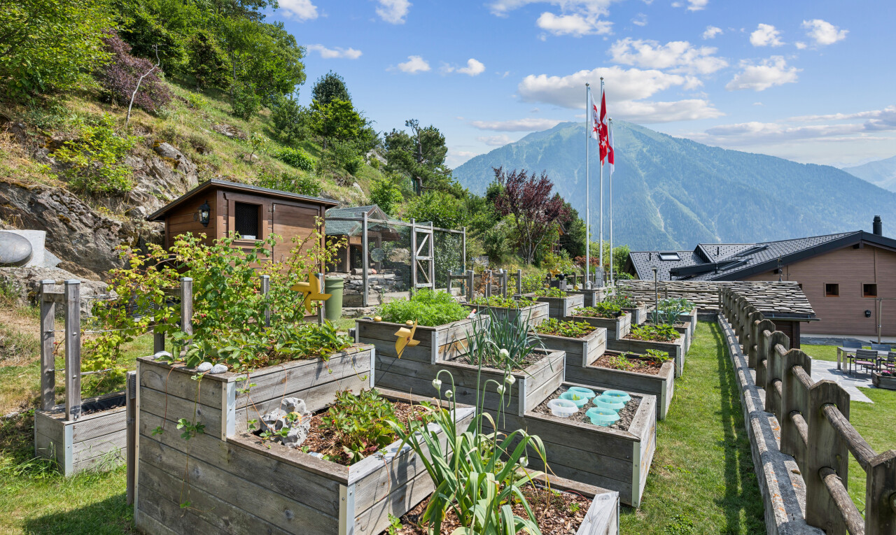 jardin avec vue sur la montagne, mountain view, day time, et jardin