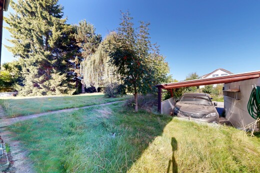 garten mit day time, rasen, und from property