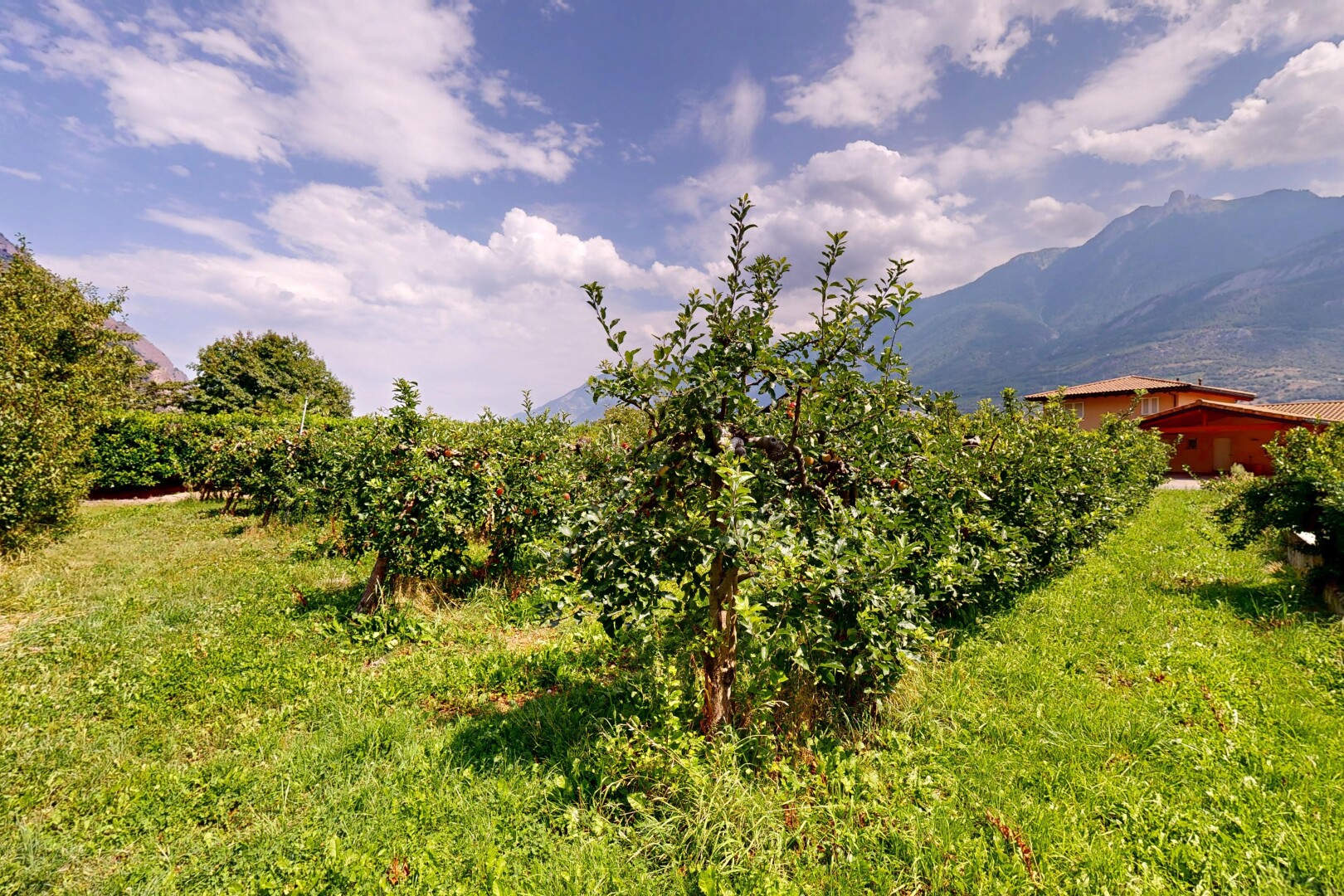 blick auf die berge mit blick auf die berge, mountain view, und day time