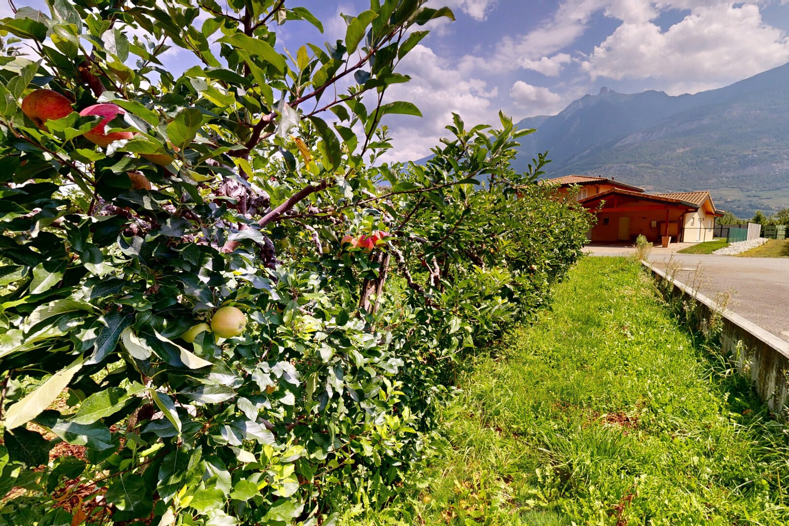 garten mit blick auf die berge, mountain view, und property visible