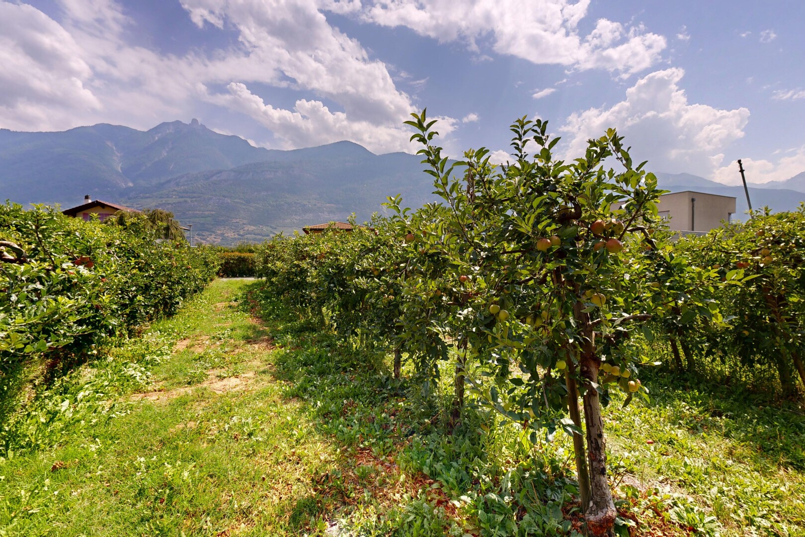 blick auf die berge mit blick auf die berge, mountain view, unknown, und day time