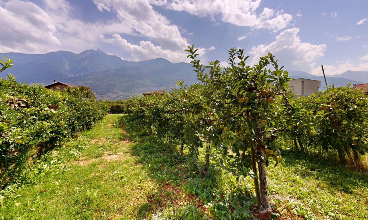 blick auf die berge mit blick auf die berge, mountain view, unknown, und day time
