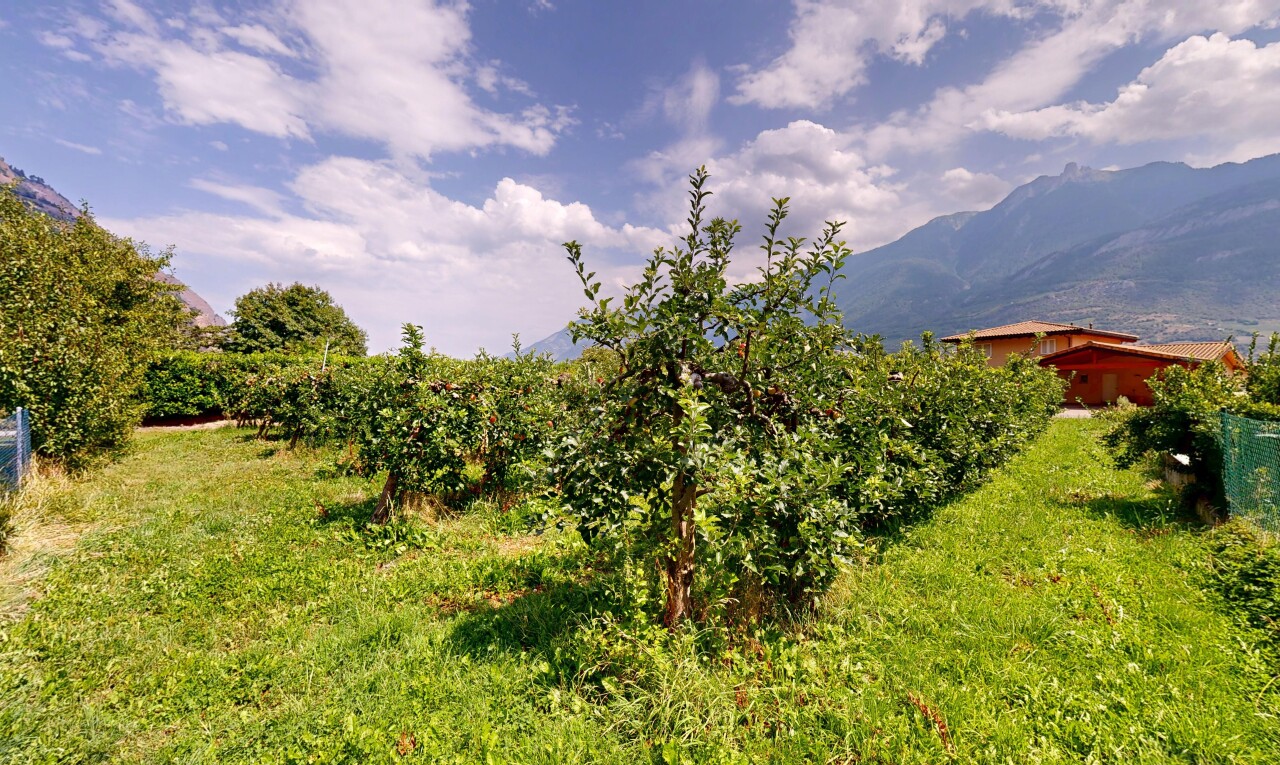 blick auf die berge mit blick auf die berge, mountain view, und day time