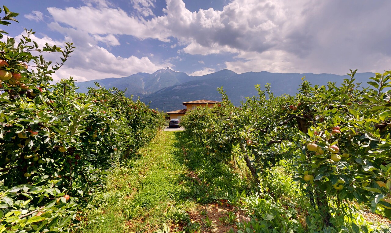 blick auf die berge mit blick auf die berge und mountain view