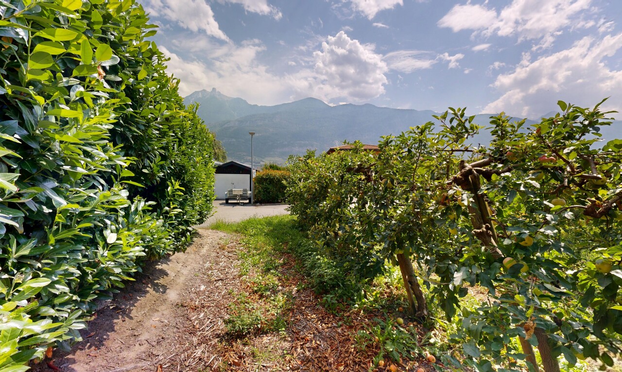 garten mit blick auf die berge, mountain view, und day time